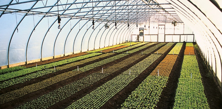 Farm