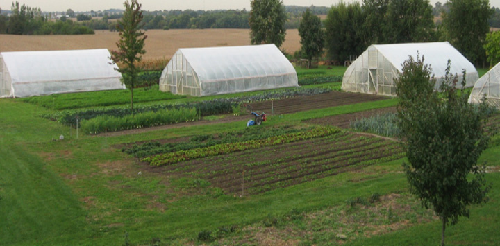 Farm